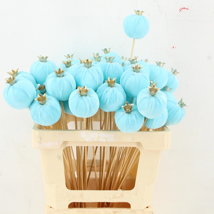 <h4>HUIS EN TUINDECO H%</h4>