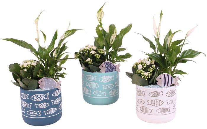 <h4>Opm Maritime Arr. Indoor Ceramic Pot Round Fish Mo</h4>