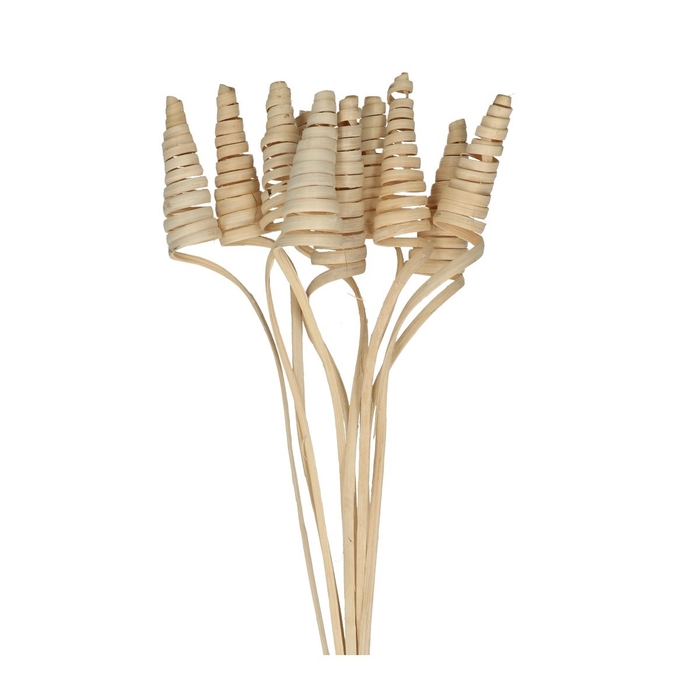 <h4>Sticks 50cm Cane Cone</h4>