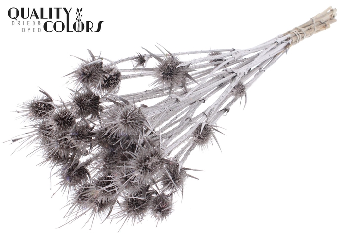 <h4>Droogbloemen   ...bewerkt H%</h4>