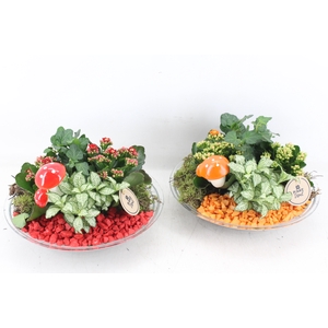arr2 PL - Glas schaal 27cm - oranje/rood