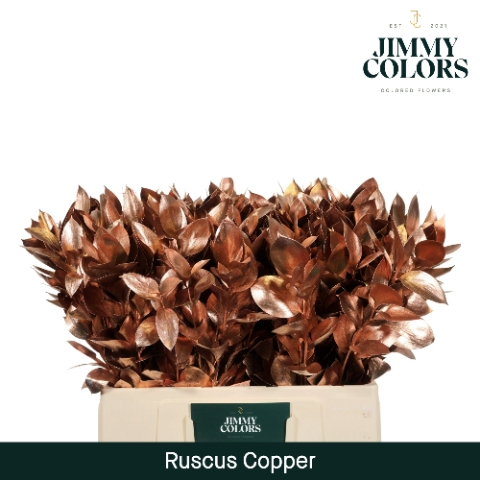 Ruscus L60 Mtlc. Koper