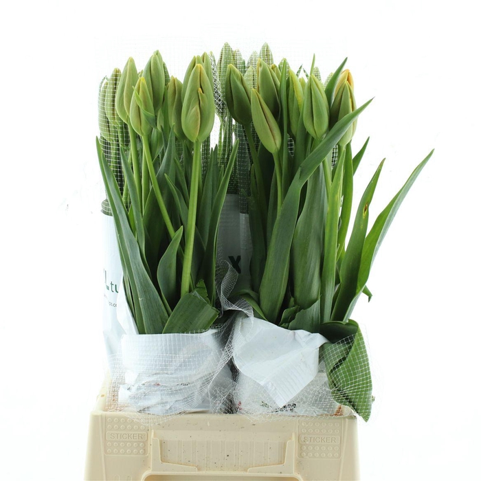 <h4>Tu En Dordogne</h4>