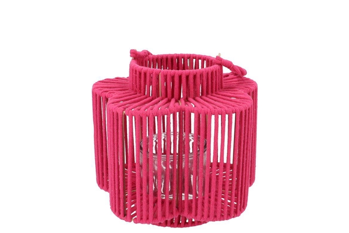 Cruz Fuchsia Lantern Flower Long 10x18x20cm