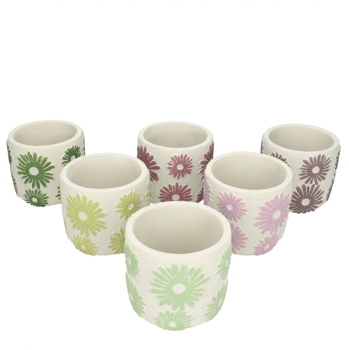 <h4>Promo Pot Flower Daisy d11*10.5cm</h4>
