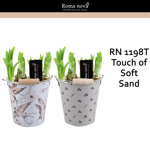 <h4>1198T - Touch of Soft Sand (Tete a Tete)</h4>
