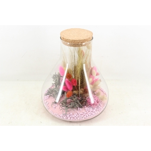 arr2 Droogbl. MB - Glas paris pink XL  x3