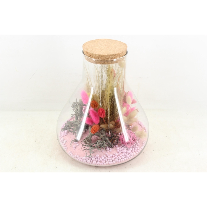 <h4>Arr2 Droogbl. Mb - Glas Paris Pink Xl X3</h4>