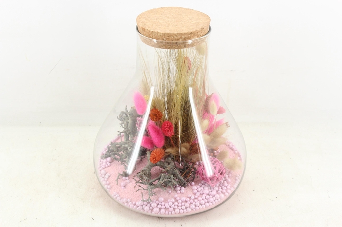 <h4>arr2 Droogbl. MB - Glas paris pink XL x3</h4>