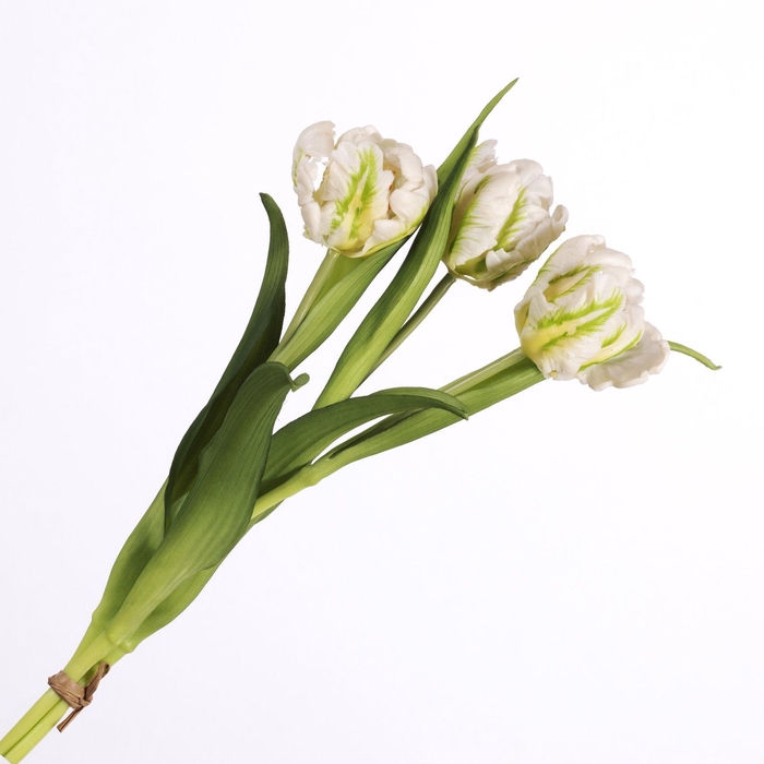 <h4>Tulip Bundle White BK770017WHI</h4>