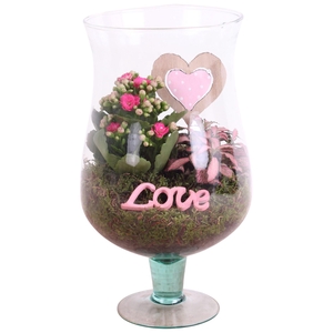 Mothersday Arr. Indoor Glass Cognac Ø17cm 2PP