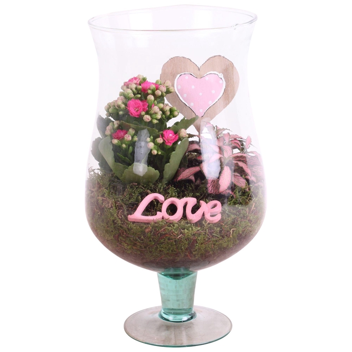 <h4>Mothersday Arr. Indoor Glass Cognac Ø17cm 2PP</h4>