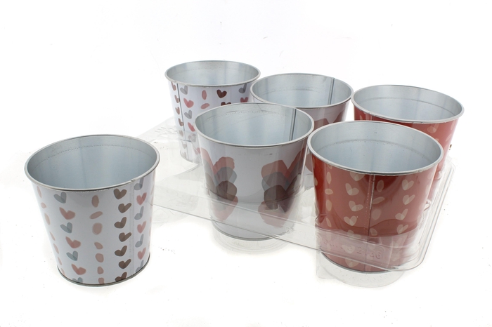 <h4>HUIS EN TUINDECO H%</h4>