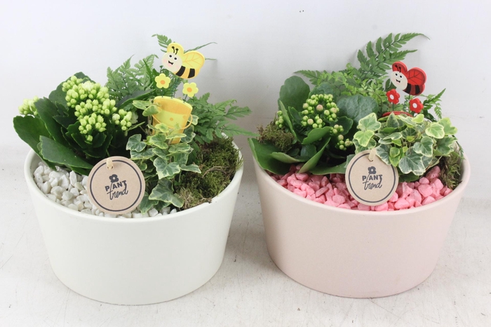 <h4>arr2 PL - Keramiek Lisa pastel mix</h4>