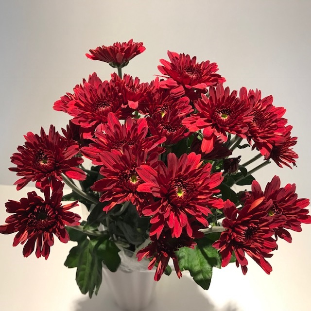 Chr Spray Red Chianti