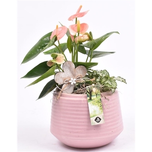 Keramiek ribbel pot roze 16.5cm