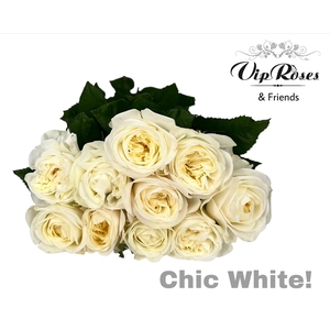 R GR CHIC WHITE!