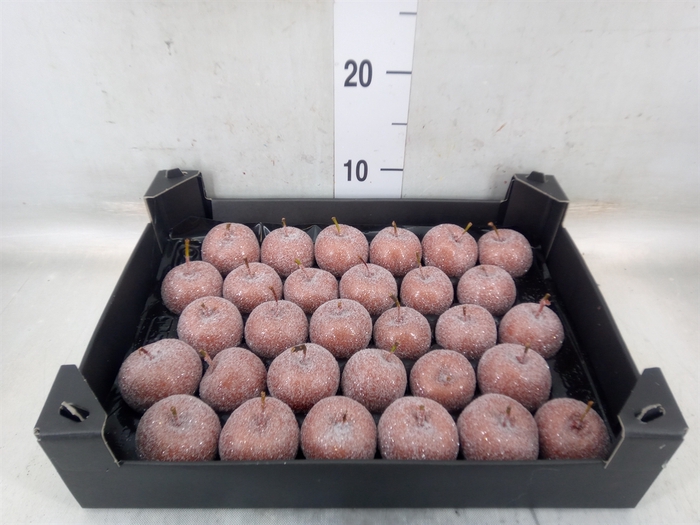 <h4>Decoratieve materialen   ...H%</h4>