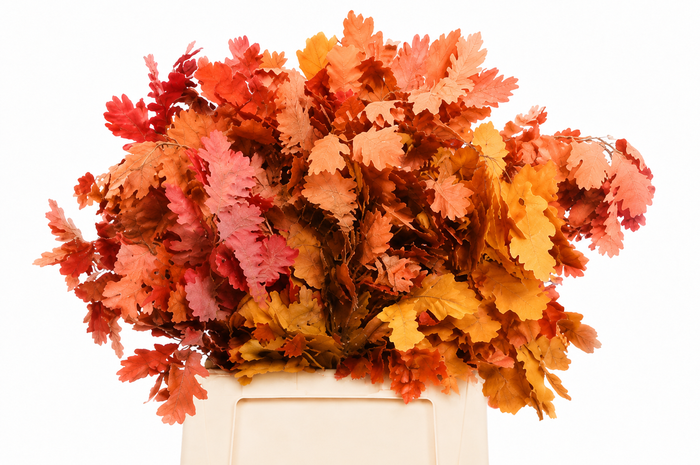 <h4>Quercus Preserved Mix (oak,eik)</h4>