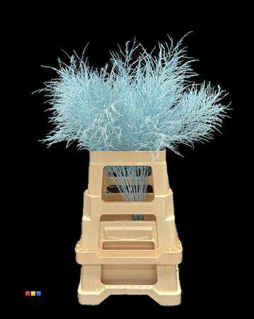 <h4>Treefern Light Blue</h4>