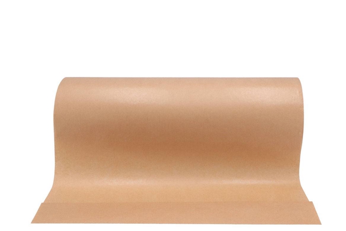 Paper 50cm Brown 10kg Natural
