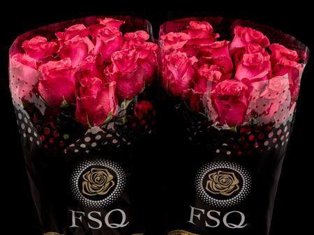 <h4>R Gr Cherry Iguazu</h4>