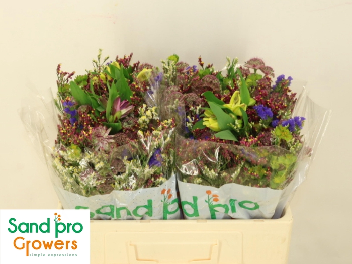 <h4>GEM ZOMERBOEKET</h4>