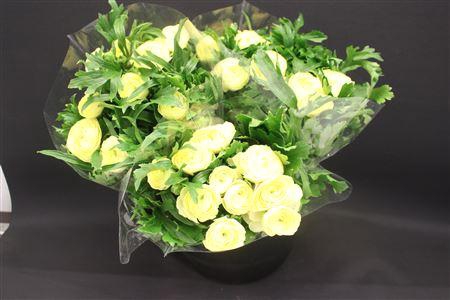 Ran Moderna Limoncello