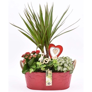 Zink ovaal rood hart decor 28x15cm