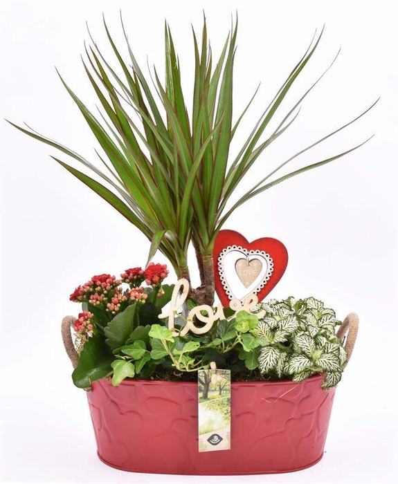 <h4>Zink ovaal rood hart decor 28x15cm</h4>