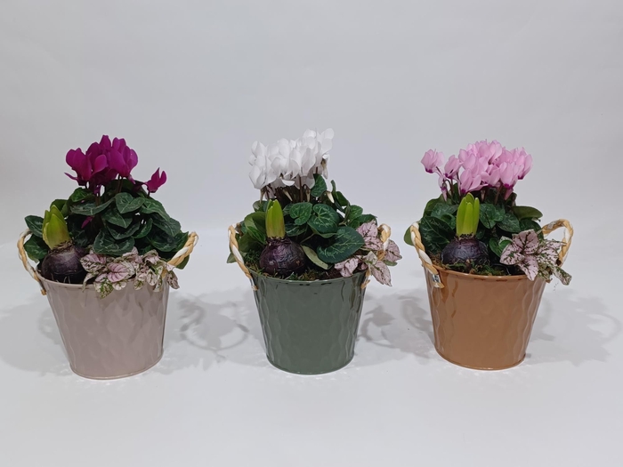 <h4>Collectie "Autumn" Arrangement in zinken pot Nora</h4>