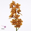 CYMB MI ENZAN FOREST MAJOLICA CYMB