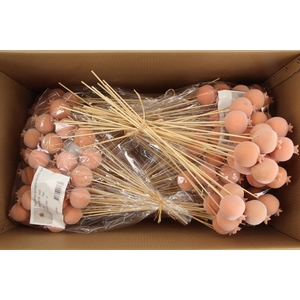 Stick Pomegranate Fl. Ø7 Peach