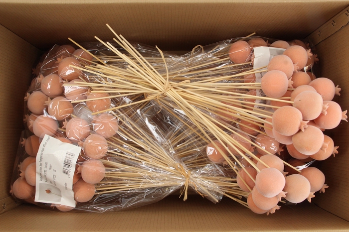 <h4>Stick Pomegranate Fl. Ø7 Peach</h4>