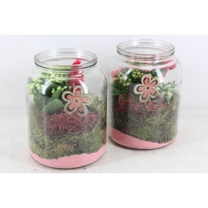 Arr2 Mb - Glas Pot Dik 338/5 - Roze/wit