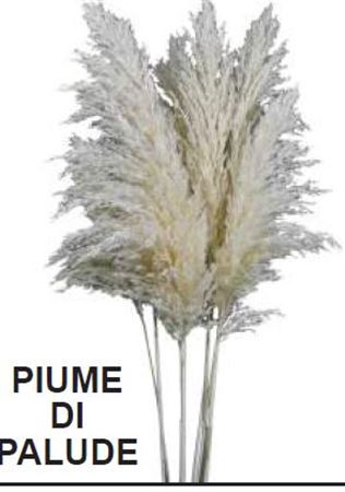 # Dr. Piume Di Palude Bianco X10 **clearout**
