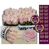 Rosa GR 'Sweet Avalanche'