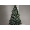 Kerstboom Nobilis 60