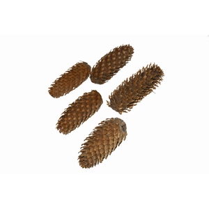 DENAPPEL FIJNSPAR NATUREL 5KG