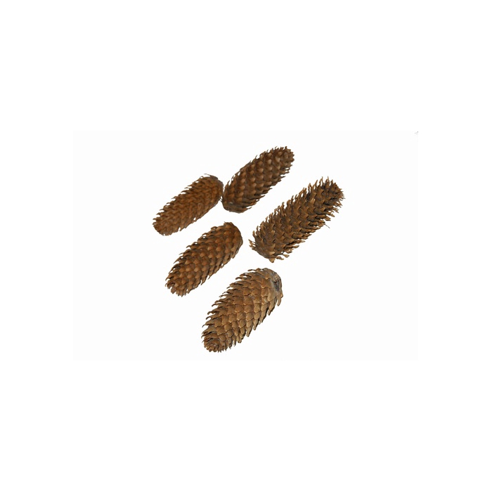 <h4>DENAPPEL FIJNSPAR NATUREL 5KG</h4>