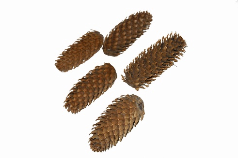 DENAPPEL FIJNSPAR NATUREL 5KG