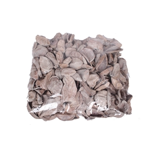 Land lotus petal 500gr in poly Frosted White