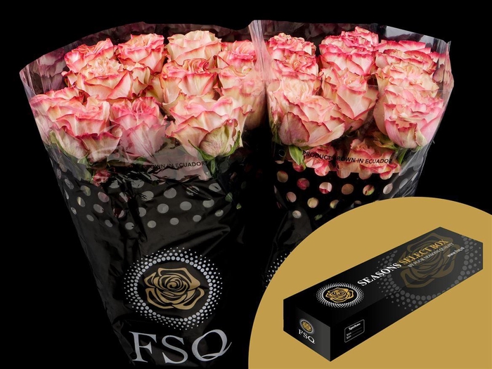 <h4>R GR Country Candy</h4>