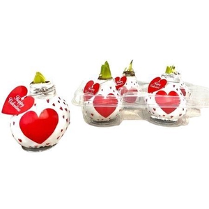 arr8 Hipp Wax Love Design