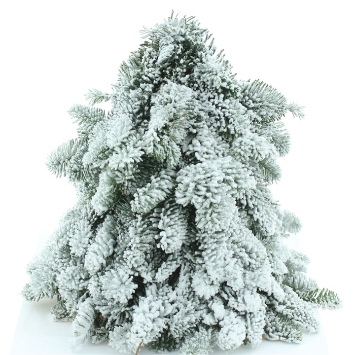 <h4>Nobilis Kerstboom Sneeuw 30cm</h4>