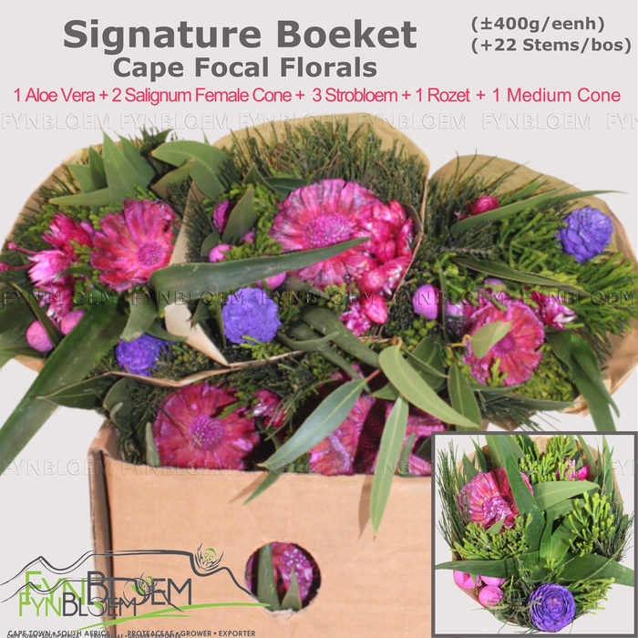 <h4>KAAPS GROE GEM IN BS</h4>