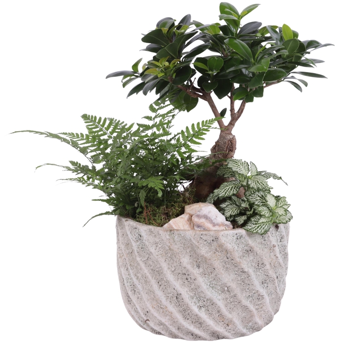 <h4>Yearround Arr. Indoor Ceramic Natural Touch NT668 Ø20cm 3PP</h4>