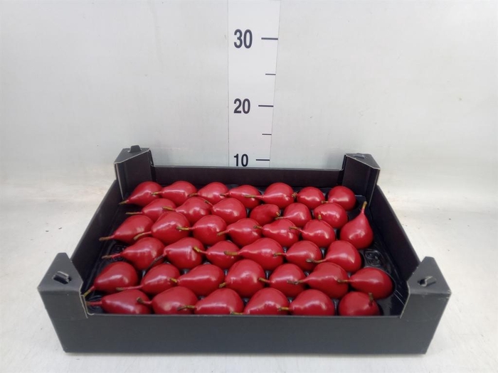 <h4>Decoratieve materialen   ...H%</h4>