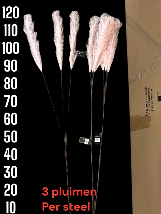 <h4>HUIS EN TUINDECO H%</h4>