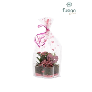 Glazen Bloemschaalmet Arrangement